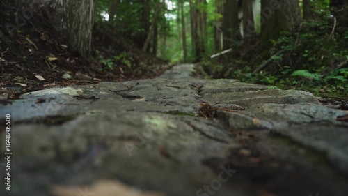 熊野古道・中辺路「水呑王子・伏拝王子区間」和歌山県田辺市本宮町 Mizunomi Ōji to Fushiogami Ōji Segment – Kumano Kodo Pilgrimage Trail, Wakayama Prefecture