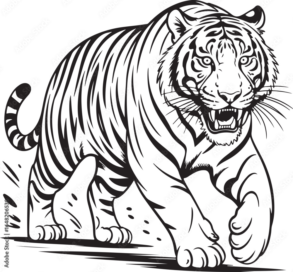 Obraz premium Tiger in Motion Outline Illustration Striped Wildcat with Fierce Expression in Clean Line Style