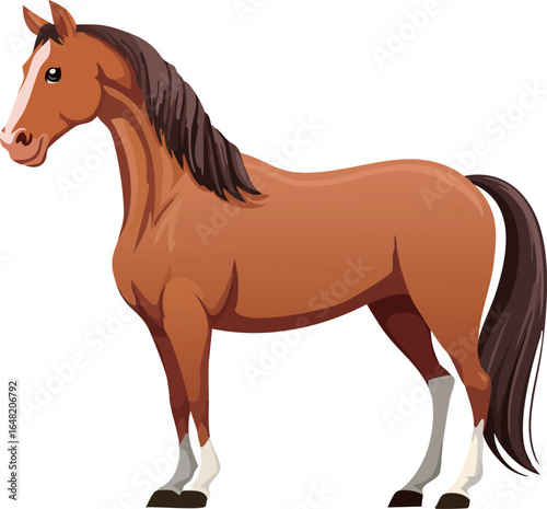 馬