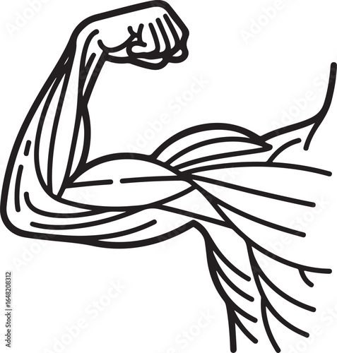 Arm and Shoulder Muscles Icon Set for Education Anatomical Side View, Posterior Arm, Shoulder Blade Area, Flexor Tendons, Muscle Layers, Anatomical Labels