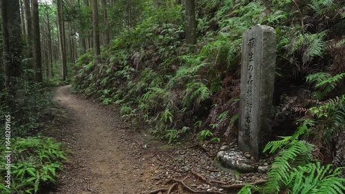 熊野古道・中辺路「水呑王子・伏拝王子区間」和歌山県田辺市本宮町 Mizunomi Ōji to Fushiogami Ōji Segment – Kumano Kodo Pilgrimage Trail, Wakayama Prefecture