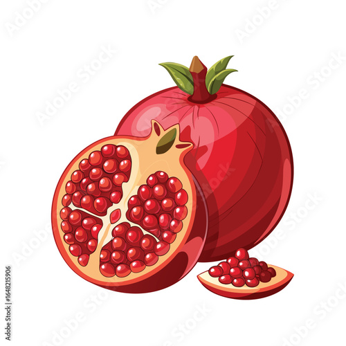 vector illustration of pomegranate