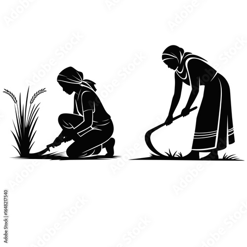 Women harvesting rice crop