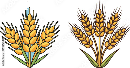 Wheat ears illustration, symbol of harvest and agriculture. Vector graphic in gold and brown.