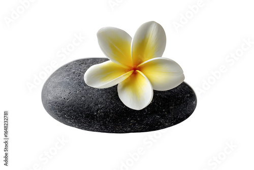 Elegant white and yellow flower resting on smooth dark stone for spa and wellness themes