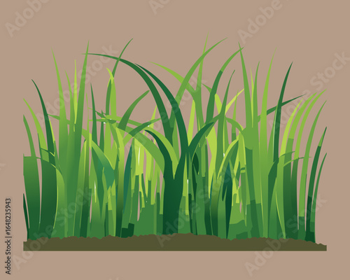 Vector Illustration of a Lush Field of Grass 