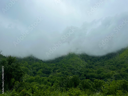 Low Clouds Rolling Over Green Mountain Forest