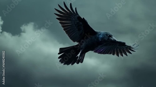 A black crow flies across a cloudy sky with its wings spread in a dramatic and moody atmosphere bird video