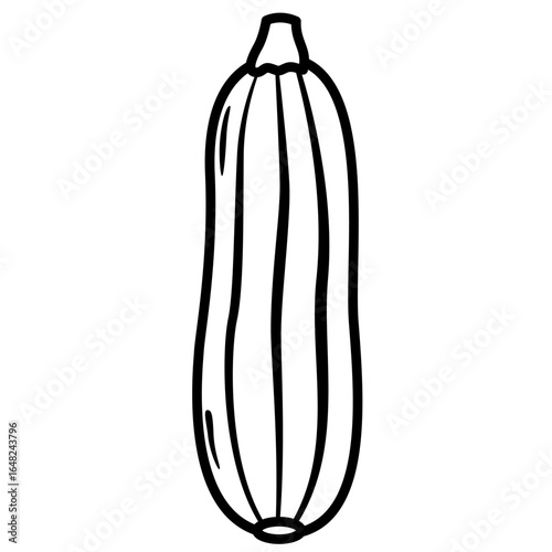 illustration of zucchini 