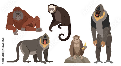 A diverse collection of primate species depicting various primates in a stylized artistic illustration