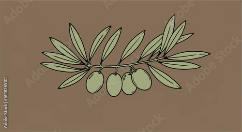 A simple drawing of an olive branch with four olives hanging down