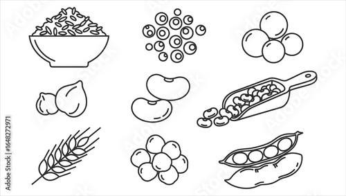 Variety of Legumes and Grains