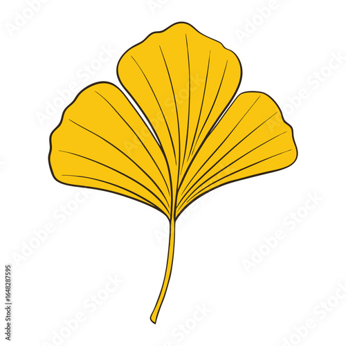 Ginkgo biloba, a unique ancient tree, is valued for its fan-shaped leaves and potential cognitive and circulatory health benefits. Nature’s living fossil.
