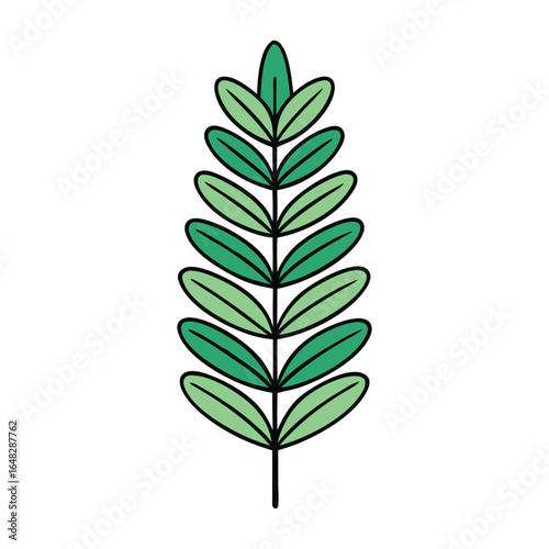 Melaleuca alternifolia, or tea tree, is a versatile plant known for its antiseptic, antifungal, and skin-soothing essential oil, widely used in natural remedies.
