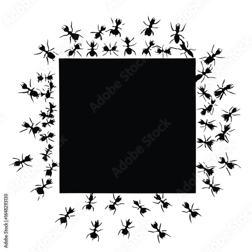 Black ants surrounding a black square insects white