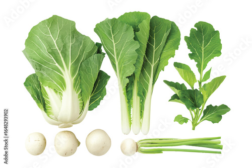 Vector Illustration of Bok Choy and Turnip Vegetables with Green Leaves and Roots