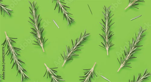 Scattered Fresh Rosemary Sprigs with Green NeedleLike Leaves and Woody Stems.
