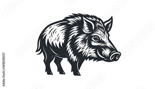 Wild boar illustration