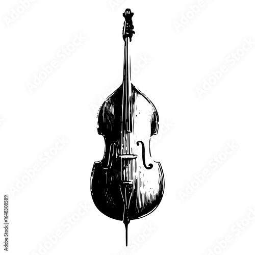 Classic double bass vintage engraving, orchestral string instrument in black and white vector