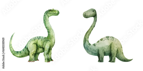 diplodocus watercolor vector illustration
