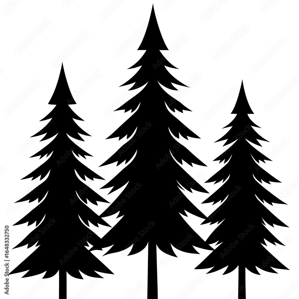 Obraz premium Three evergreen trees in a forest silhouette