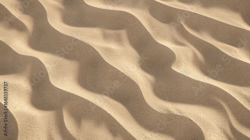 Windblown sand texture with smooth parallel ridges in light brown natural desert patterns showing erosion and geological formation details under sunlight.