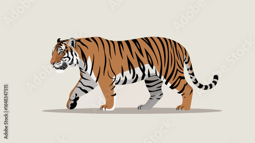 Tiger walking animal illustration