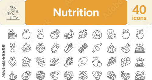 Diverse Nutrition and Food Icons Collection apple pear