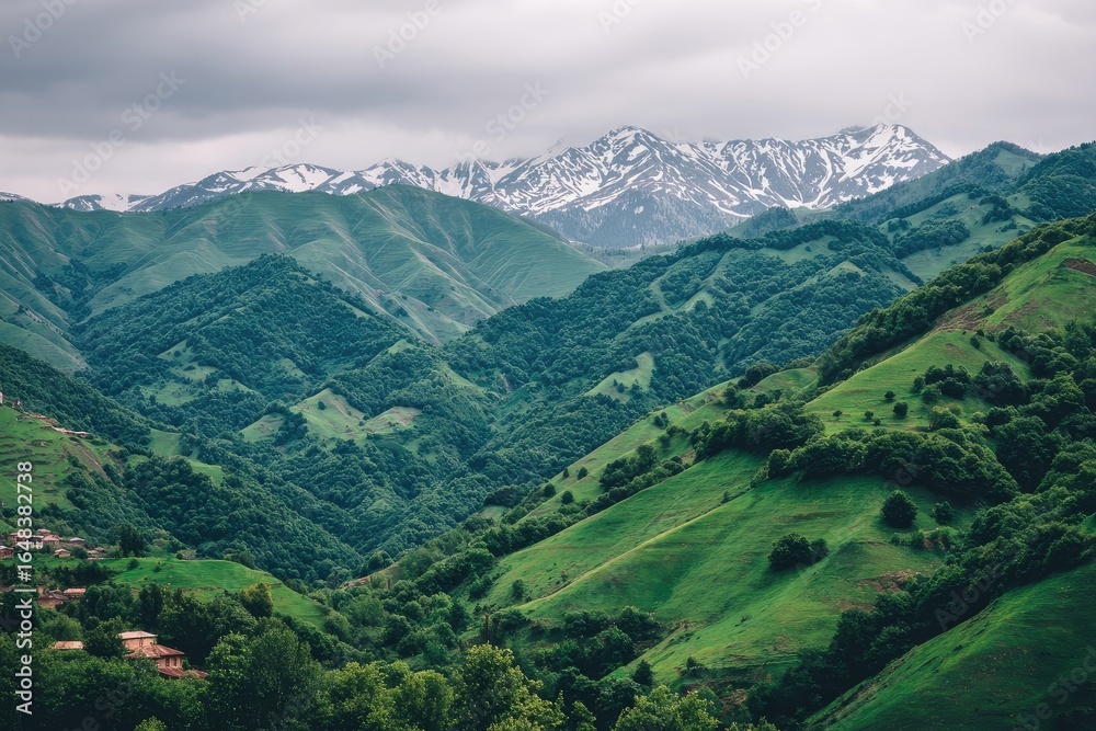 Fototapeta premium Lush green mountain valley with snow-capped peaks