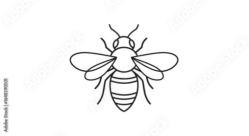 A minimalist black line art illustration of a bee, shown from a top-down perspective on a white background.