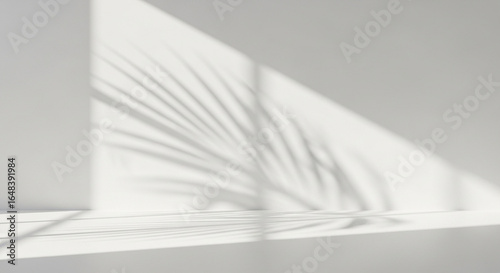 Minimalist white space with natural light and striking botanical shadow patterns