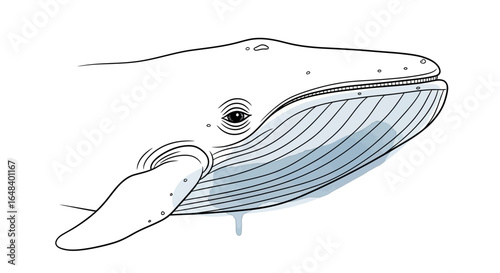 Artistic depiction of a magnificent blue whale isolated on a white backdrop