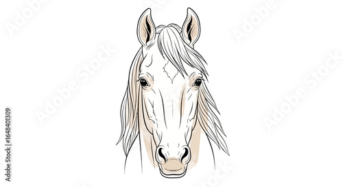 Artistic horse head illustration with a minimalist design approach