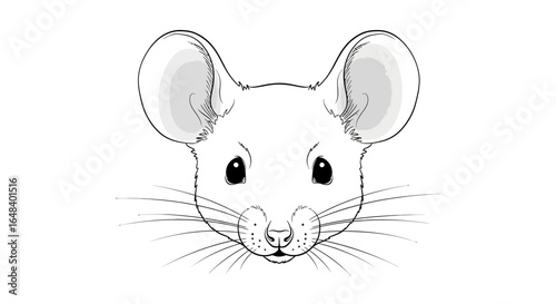 Captivating close up of a sketched mouse with large ears and expressive eyes