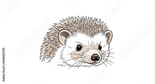 Cute and innocent hedgehog illustration, showing an endearing gaze