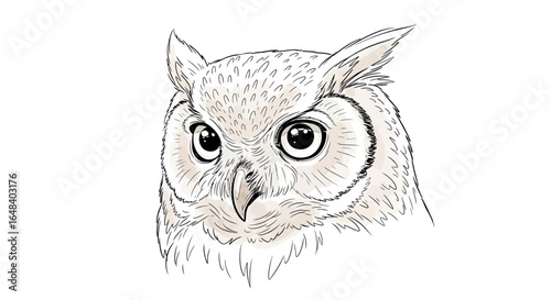 Detailed artistic sketch of an owl head with captivating, intense gaze