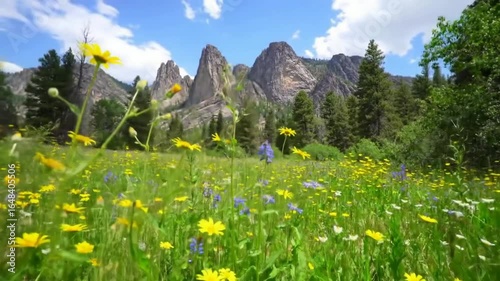 Mountain Meadow Blooms Yellow Daisies and Bluebells Swaying in the Breeze with Rocky Peaks Backdrop