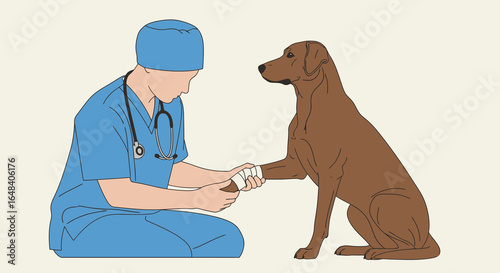 Dedicated Veterinarian in Blue Scrubs Gently Attending to a Loyal Brown Dog with Care and Compassion, Showcasing Professional Veterinary Services for Pet Owners Seeking Exceptional Animal Healthcare