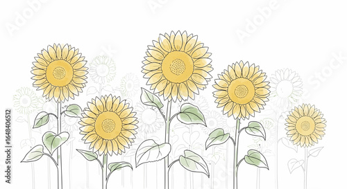 Elegant sunflower field illustration on white background with botanical vibe