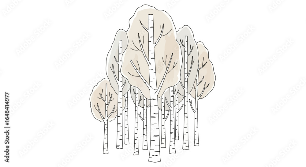 Fototapeta premium Stylized birch tree grove illustration with muted color palette on white