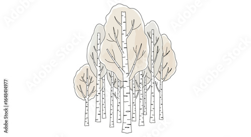 Stylized birch tree grove illustration with muted color palette on white