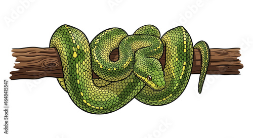 green tree python wrapped around branch perfect for reptile enthusiast websites nature documentaries and tropicalthemed designs