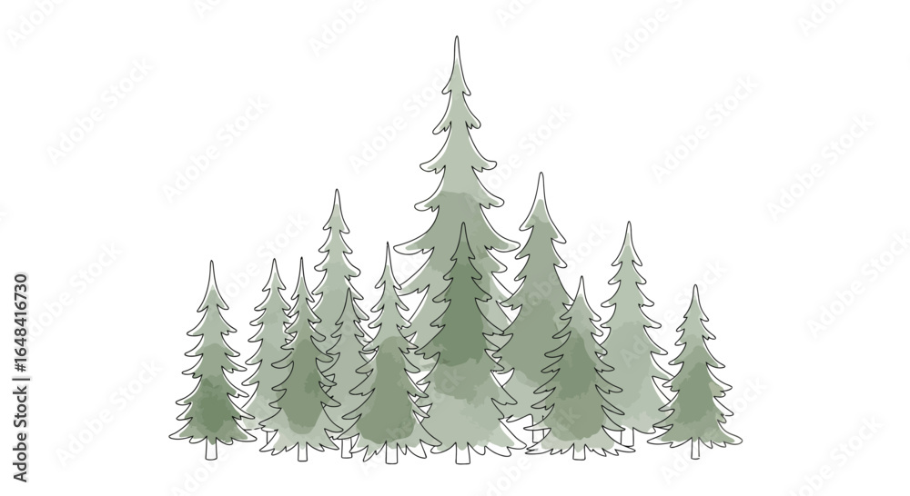 Obraz premium Watercolor illustration of a serene forest, pine trees on white background