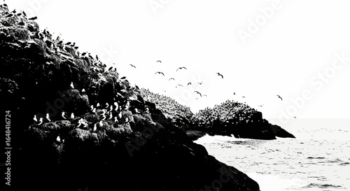 dramatic black and white coastal scene hundreds of birds roosting on rugged cliffs perfect for nature documentaries travel blogs and environmental campaigns