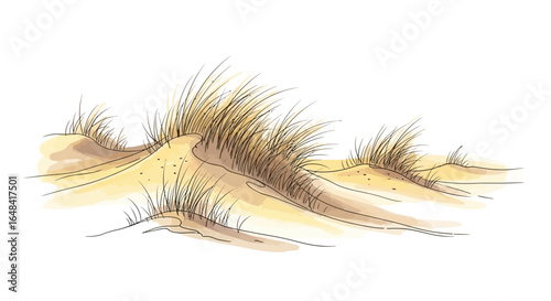 Watercolor sand dune illustration with marram grass evokes beach tranquility