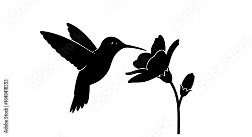 elegant hummingbird silhouette natureinspired design for ecofriendly branding invitations and sustainable lifestyle products