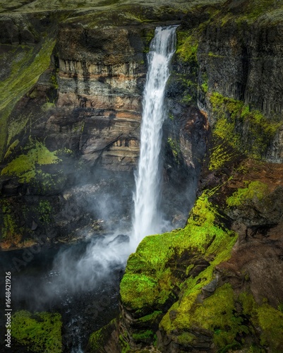 Majestic waterfall cascading down a cliff surrounded by lush green moss and mist in Iceland