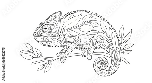 intricate chameleon line art perfect for adult coloring books naturethemed designs and relaxation activities