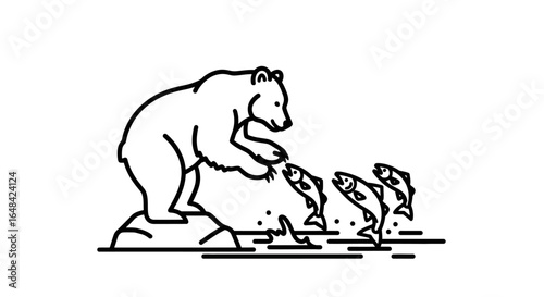 grizzly bear catching salmon line art illustration for wildlife nature and conservation projects