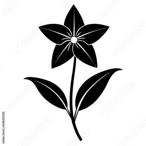 silhouette of ipheion uniflorum vector on white